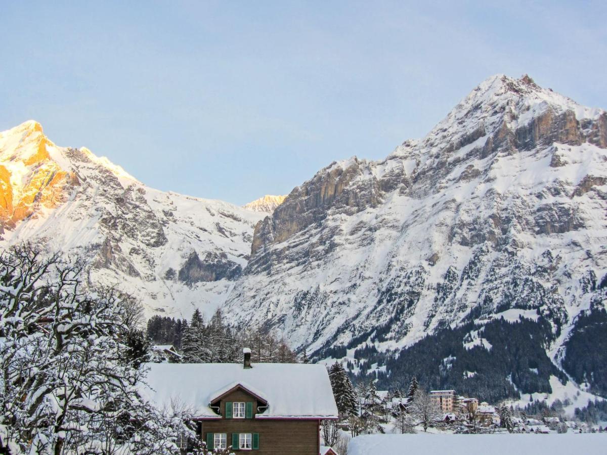 Apartment Chalet Mittelhorn-1 Grindelwald Eksteriør billede